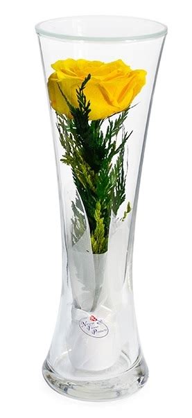 Живые цветы в стекле (вакууме) - купить в Москве