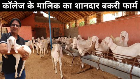 कॉलेज मालिक का शानदार Goat Farm Goat Farming Youtube