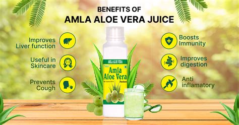 Amla Aloe Vera Juice Biogreenhealthcare