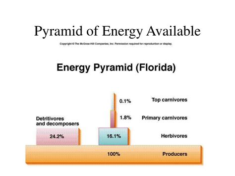 Ppt Ecosystem Function Notes Powerpoint Presentation Free Download Id 5783387