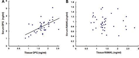 Figure From Potential Role Of The Opg Rank Rankl Axis In Prostate