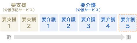 要介護5の状態とは｜介護にかかる費用や受けられるサービス内容などを解説 介護ニュース（介護）