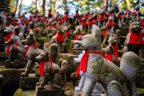 Kitsune The Japanese Legend Of The Fox Sakuraco