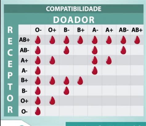 Qual O Tipo Sanguineo Doador Universal Librain