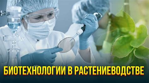 Биотехнологии в растениеводстве | Тележурнал - YouTube