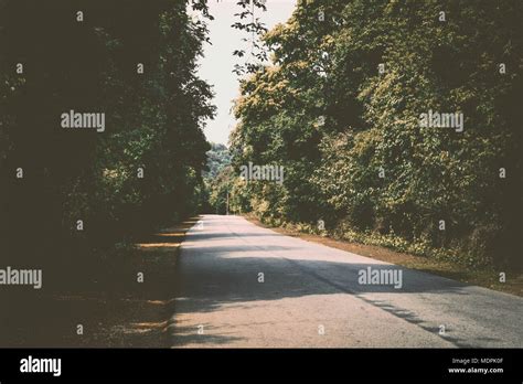 Country Highway Through The Forest Stock Photo Alamy