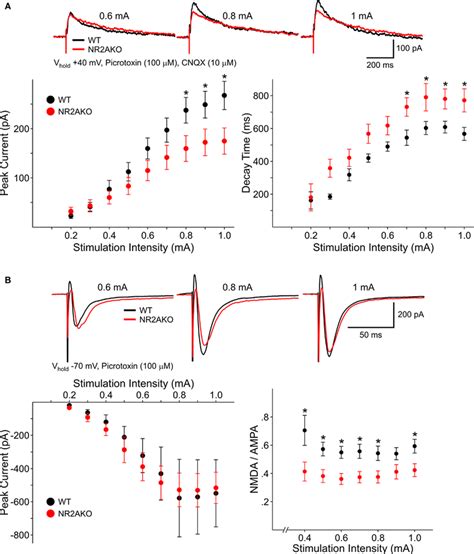 A Representative Traces Of Nmdar Mediated Evoked Epscs From Wt And