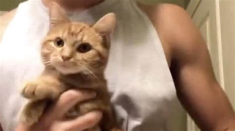 This Cat Called Kurt Can Throw It Back Better Than Anyone On Tiktok