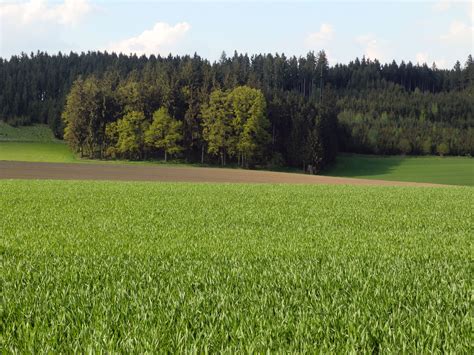 Klimaschutz Landwirtschaft Ist Teil Der L Sung Bayerischer Bauernverband