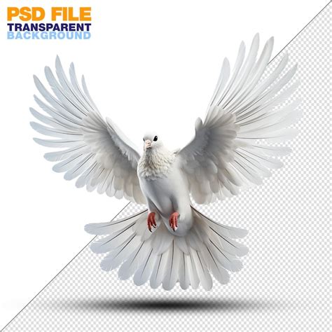 Premium Psd Beautiful White Dove Flying On Transparent Background