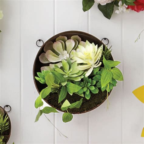 Large Succulent Wall Arrangement | Brylane Home