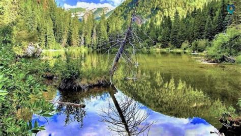 Exploring Washington State Nude Beaches Top Locations Tips For