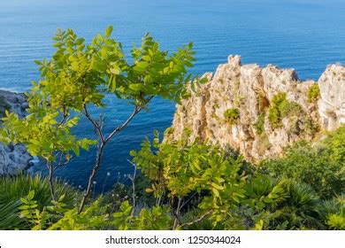 Riserva Natural Orientata Dello Zingaro Images Stock Photos D