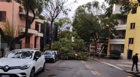 YouTG NET Nuovi Bus Elettrici Malfunzionanti Ctm Risponde