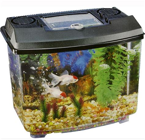 Plastic Aquariums – Pros And Cons | Tropical Fish Keeping