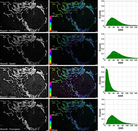 Unraveling Cellular Complexity With Transient Adapters In Highly