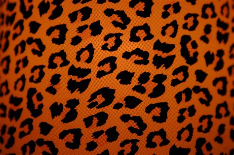 Animal Print Backgrounds Free Download