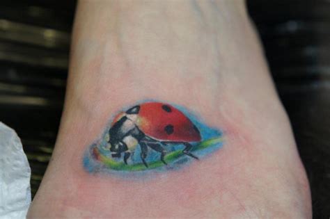 Watercolor Ladybug Tattoo Designs, Ideas and Meaning - Tattoos For You