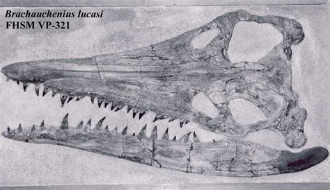 Something About Pliosaurs