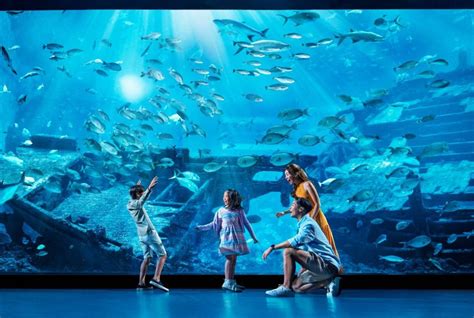 12 things to do at Resorts World Sentosa for families - Holidays with Kids