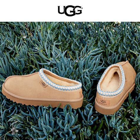 Introducing the Tasman Regenerate - UGG