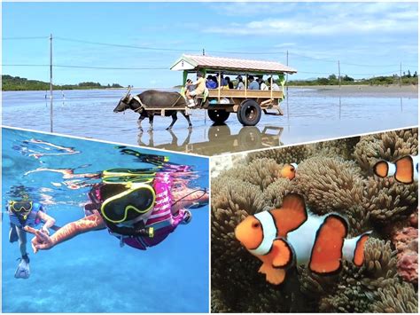 トロピカルシュノーケリング カラフルな南国のお魚とシュノーケリング！由布島観光を楽しめる1日プランも＜半日／市街地送迎可／西表島＞ 西表島の観光・オプショナルツアー専門 Veltra ベルトラ