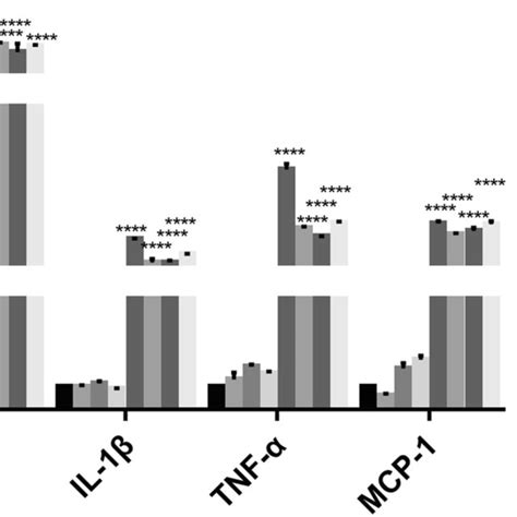 Rt Pcr Was Used To Determine The Expression Of Relevant Genes In M And