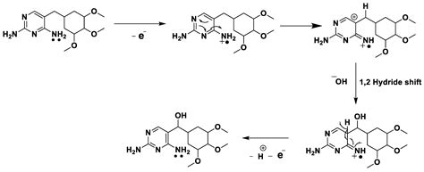 Bioengineering Free Full Text Nanostructured Zno Based