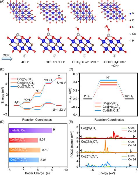 Electrocatalytic Enhancement Mechanism Of Cobalt Single Atoms Anchored