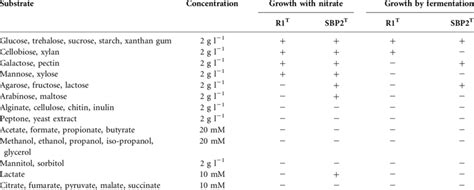 Substrate Utilization By Strains R1 T And Sbp2 T Download Table