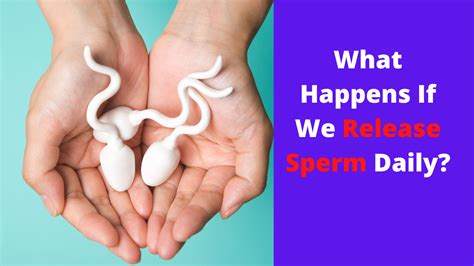 What Happens If We Release Sperm Daily 2024