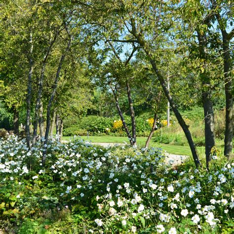 16 Schaduw Border Bloemenpark Appeltern