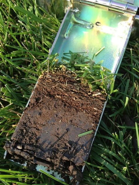 Got Thatch K State Turf And Landscape Blog