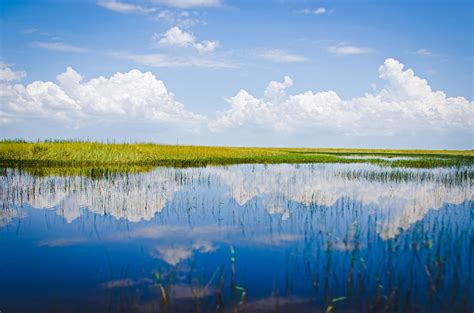 10 Best Things to Do in Everglades National Park