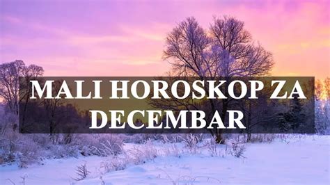 MALI MESECNI HOROSKOP ZA DECEMBAR