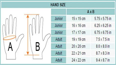 Hand Size to Height Ratio Chart – SizeChartly