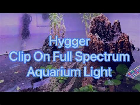 Hygger Clip On Full Spectrum Aquarium Lights Youtube