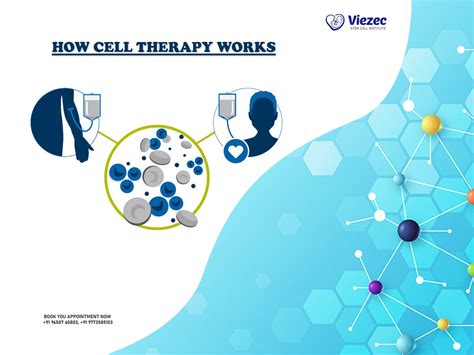 How Cell Therapy Works - Viezec Stem Cell Institute