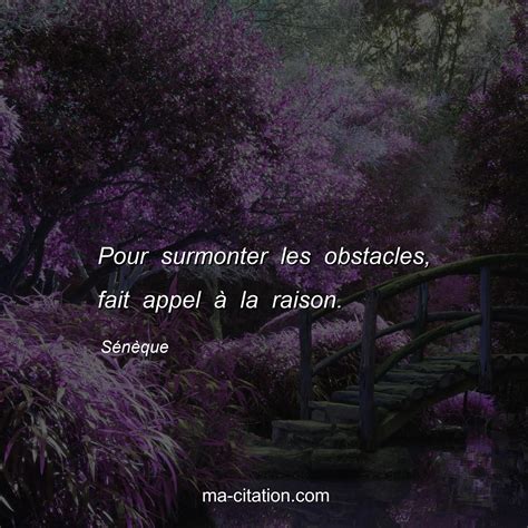 Pour Surmonter Les Obstacles Fait Appel La Raison S N Que Ma