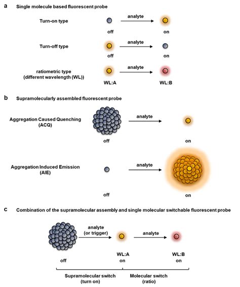 Classification Of Fluorescent Probes Based On Patterns Of The