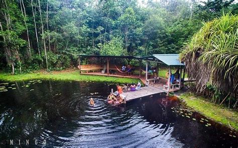 The 15 Best Things To Do In Guyana 2025 Must See Attractions