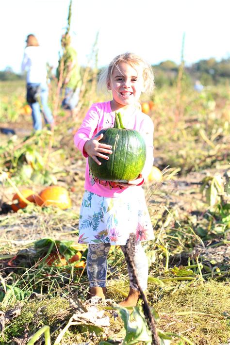 Down on the Farm // Pumpkin Patch Look - According to Blaire