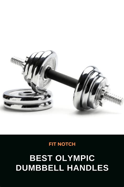 Best Olympic Dumbbell Handles Of 2021 Fit Notch