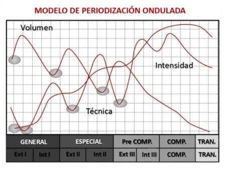 Qu Es La Periodizaci N Del Entrenamiento Musculaci N Total