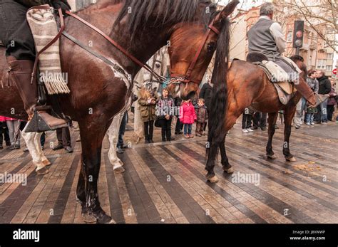 Jesus Carroza Fotografías E Imágenes De Alta Resolución Alamy