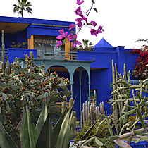 Couleurs couleurs Plantes Jardin Majorelle Guéliz Marrakech