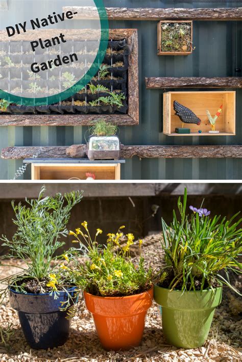 Three Different Pots With Plants In Them And The Words Diy Native Plant Garden