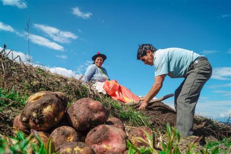 2 Propuestas Que Pudo Activarse Para Ayudar A Los Agricultores Y No