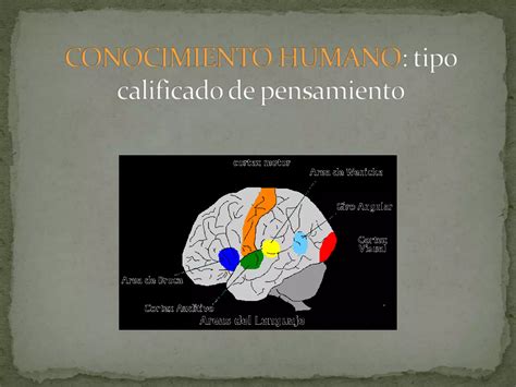 El Lenguaje En Los Procesos De Pensamiento Ppt