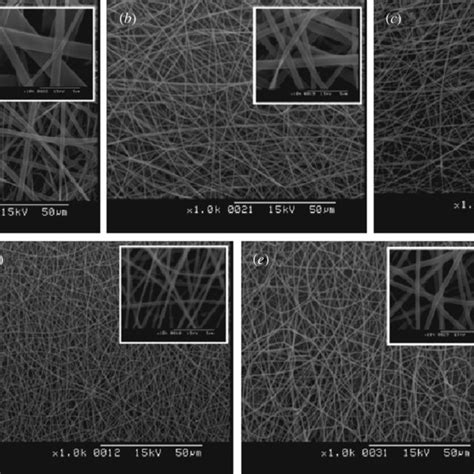 Sem Images Of Electrospun Gelatin Pu Blended Nanofiber Scaffolds A